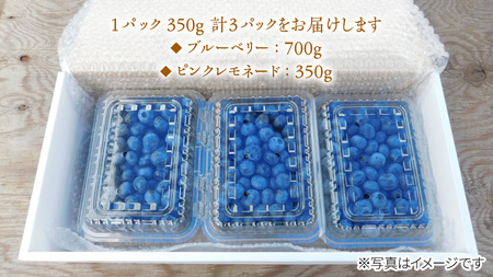 ≪先行予約≫【 数量限定 】 朝採れ 完熟 ブルーベリー 700g と ピンクレモネード 350g の 詰合せ セット 食べ比べ (1パックあたり 350g ) 【 2026年 6月上旬頃より発送開始 】
