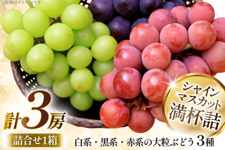 【期間限定発送】 大粒 ぶどう 3種 詰合せ シャインマスカット 1房 大粒ぶどう 2種 2房 計3房 [本田農園 山形県 高畠町 tk06ays820000]