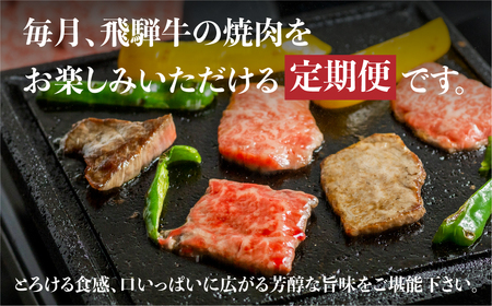 《定期便》飛騨牛 定期便 4回 焼肉 ちょこっと食べ比べ 定期便  [S401]　牛肉