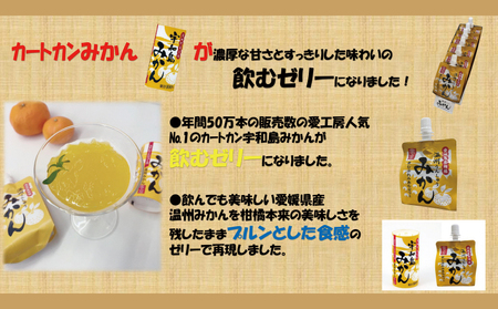 【ゼリー】飲むぷれみあむゼリーみかん30個愛工房J025-034006