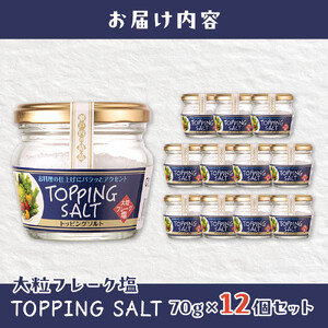 トッピングソルト 70g 12個 セット