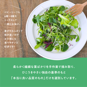 932 マイクロリーフミックス【20g】＆ベビーリーフミックス【40g】健康野菜の食べ比べセット