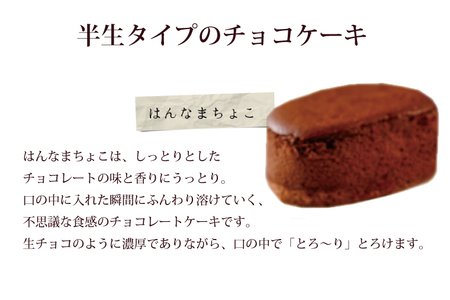 H-29-1 はんなまちょこ15個