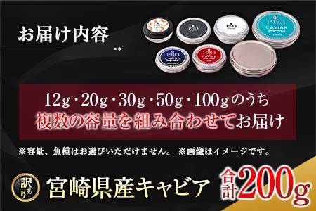訳あり 数量限定 5つ星ホテル採用 宮崎県産 キャビア 詰め合わせ セット 合計200g 魚卵 魚介 魚貝 国産 熟成 新鮮 高級 希少 食品 三大珍味 黒いダイヤ おすすめ 水産物 おつまみ ご褒美 お祝い 記念日 パーティー 日南市 送料無料_XF1-25