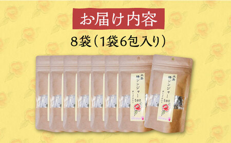 五島椿ジンジャーtea8袋 蒸ししょうが入り 生姜 つばき 茶 個包装 ティーバッグ 五島市 / GOTO Challenged 椿 [PDU007]