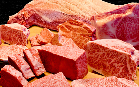 三ツ星若狭牛 五味焼のお食事ご利用券12,000円分 [D-091001] [BFCN002]