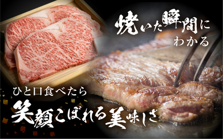 飛騨牛 牛肉 サーロイン ステーキ 800g 大判 ステーキ JAひだ [S462]