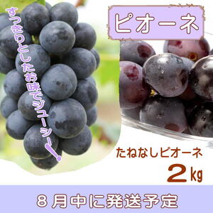 定期便全3回　和歌山の人気の夏のフルーツをお届け！【TM92154-tkb345】