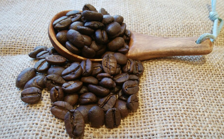 【8ヶ月定期便】世界のコーヒー豆詰め合わせ 500g (100g×5種) コーヒー 珈琲 豆 セット