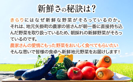 旬の新鮮野菜とお米詰め合わせセット 野菜5～10品目入