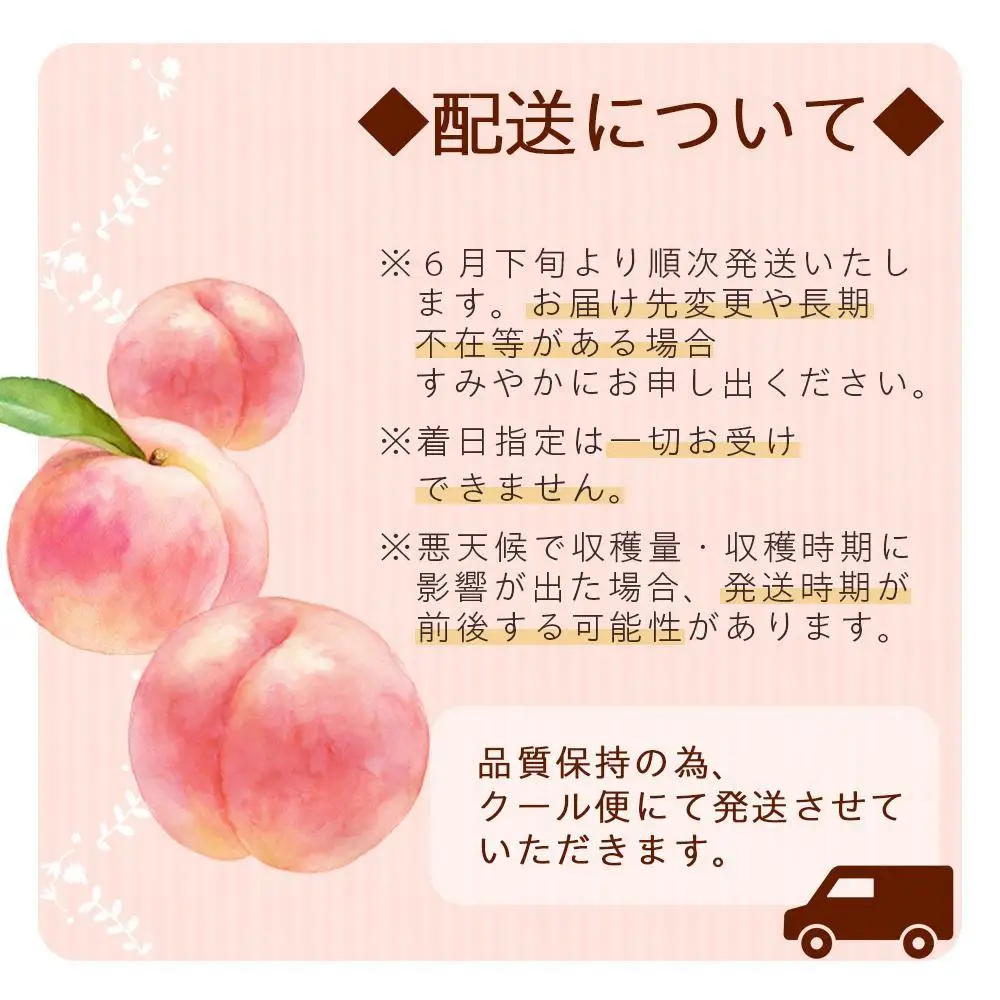 和歌山県産 桃 秀品 6～9玉 約2kg［NY7］