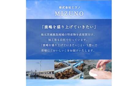 はまぐり 鹿島灘はまぐり 8~12粒程度 【 はまぐり 】
