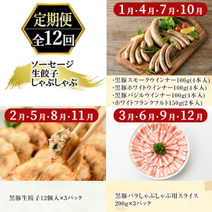 a888 《定期便全12回》鹿児島黒豚「短鼻豚」無添加ソーセージ＆生餃子＆しゃぶしゃぶ【鹿児島ますや】