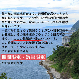 【先行予約】親不知産 天然岩牡蠣(生食用) 大サイズ４～５個 2026年7月中旬以降順次発送 鮮度抜群！ 水揚げ直後に発送 日本海 かき カキ 岩ガキ