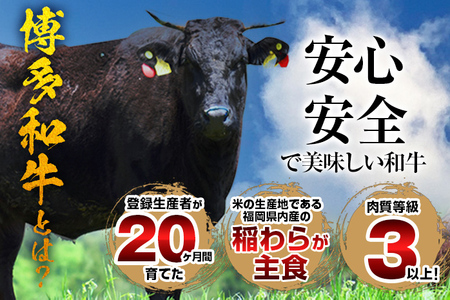 博多和牛カルビ （非加熱） 甘辛 250g×4パック カルビ
