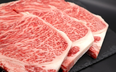 【肉の横綱】伊賀牛サーロインステーキ 150g×3枚【ymmt0006】