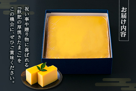 飫肥 厚焼きたまご 加工品 玉子焼き_BB172-26