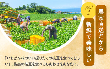 【先行予約】【数量限定100セット】はねっ娘枝豆 3kg（300g×10袋） [AKCZ002]