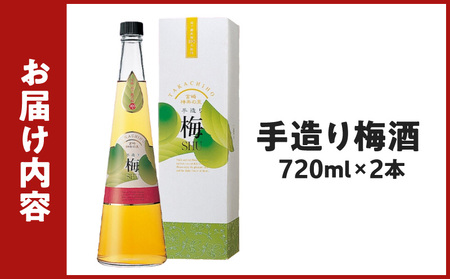 手造り梅酒 14% 720ml×2本セット 梅酒 酒 アルコール 梅酒セット セット 詰め合わせ ロック ストレート 贈答 贈答用 ギフト プレゼント お祝い 祝い 内祝い 記念日 誕生日 お取り寄せ グルメ 家飲み 宅飲み 飲み会 国産 宮崎県 高千穂町 _Tk007-028