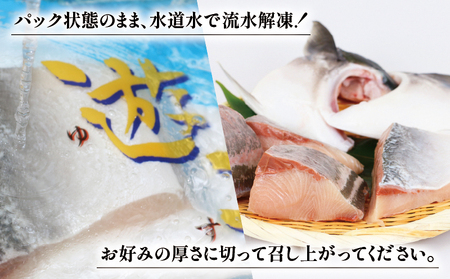 ハマチ 計 1kg 愛媛県漁業協同組合遊子支所ﾊﾏﾁD012-022005