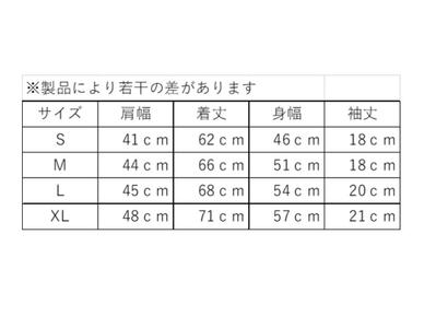 第38回 2023 三浦国際市民マラソン オリジナルTシャツ（L） M037-012-03 マラソン 三浦マラソン 雑貨 日用品