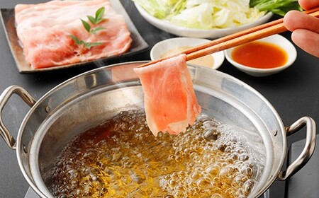 （飼育期間中）完全無薬！梅肉エキス肥育 熊本県産 天草梅肉ポーク 豚ロース しゃぶしゃぶ用 800g 200g×4パック 肉 お肉 豚肉 豚 ロース 小分け 冷凍 熊本県 上天草市