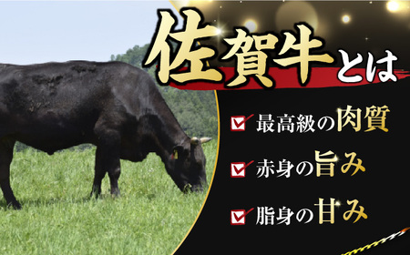 佐賀牛 ヒレステーキ 750g 佐賀牛[FDB025]