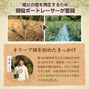 贅沢オリーブスパイス2本セット 60g×2 瓶入り 調味料 香辛料 化学調味料不使用 アウトドア BBQ 料理 大和オリーブ 広島県 呉市 ku141-001-r