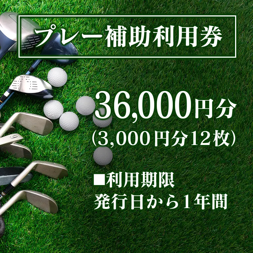 千代田ゴルフ倶楽部　ゴルフ場優待プレー補助利用券 36,000円分 CH078_005