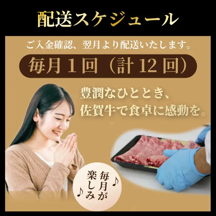 【12回定期便】佐賀牛 Q264-001 牛肉 定期便
