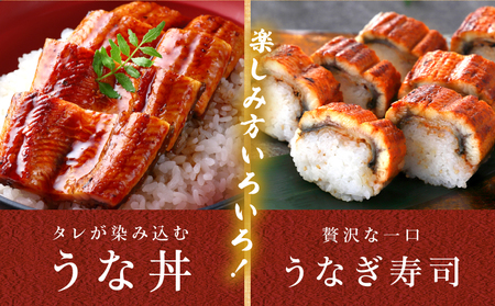 職人 手焼き うなぎ蒲焼 3尾 計390g以上 鰻 魚介類 伝統の味 秘伝のタレ 厳選 国産 ウナギ おかず 食品 加工品 真空パック 冷蔵 人気 おすすめ うな重 うな丼 惣菜 お土産 ひつまぶし うなぎ寿司 お祝い 贈り物 ギフト 贈答 プレゼント 宮崎県 日南市 送料無料_EC6-23