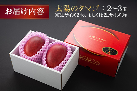 完熟マンゴー 太陽のタマゴ 2玉 ～ 3玉 期間限定 数量限定 マンゴー 宮崎 フルーツ 果物 くだもの 国産 食品 先行予約 2026 令和8年発送 濃厚 デザート おやつ おすすめ 冷蔵 ご褒美 おすそわけ 化粧箱入り ギフト プレゼント 贈り物 贈答 日南市 送料無料_FD13-25