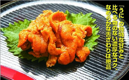 うにセット 雲丹 ウニ うに 海鮮 海鮮丼 北海道 函館 はこだて お取り寄せ 送料無料_HD051-011