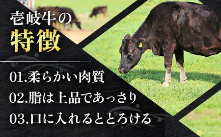 壱岐牛 切り落し （250g×4パック） [JEP004] 切り落し