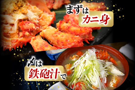 【北海道根室産】花咲かに500g前後～650g前後×2尾 B-76028