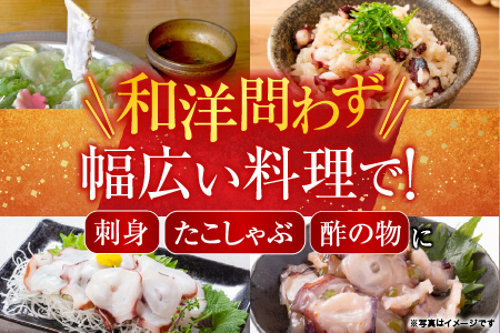 【北海道根室産】お刺身用たこ足2本(計2～2.5㎏) C-76027