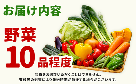 【定期便】 野菜 10品程度 計3回【メロンドーム】 定期便 3ヶ月お届け 詰め合わせ セット 国産 九州産 熊本県 菊池市 道の駅 送料無料《お申し込みの翌月から出荷》