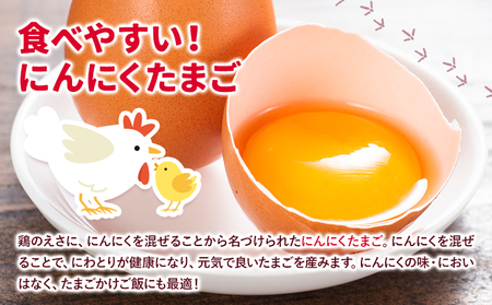 旬の野菜とたまごのセットメロンドーム 野菜 卵 にんにくたまご 卵 詰め合わせ 5ヶ月 定期便 有限会社七城町特産品センター《お申し込みの翌月から出荷》熊本県 菊池市 セット 新鮮 国産 九州産 熊本県 菊池市 道の駅 旬