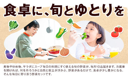 旬の野菜 定期便 計3回 旬の野菜 10品【養生市場】定期便 品種おまかせ ランダム 3ヶ月お届け 計3回 詰め合わせ セット 野菜 九州産 熊本県産《お申し込みの翌月から出荷》