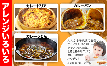馬スジカレー 10食セット 千興ファーム