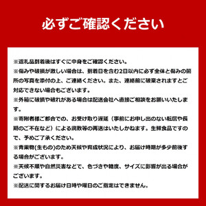 旭川産朝もぎ！グリーンアスパラガス2L～3Lサイズ1.0kg(2026年5月中旬発送開始予定) | アスパラ 北海道_01940