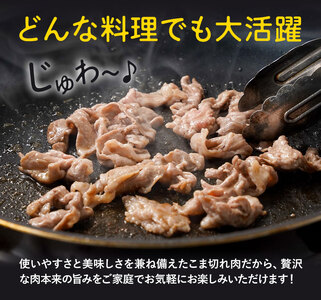 熊本県産 豚肉細切れ 合計 約4kg 約1kg × 4袋 植田商事有限会社《30日以内に出荷予定(土日祝除く)》 熊本県 菊池市 小間切れ 豚肉 スライス お肉 熊本県産 九州産 国産 冷凍