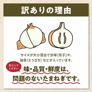 S010-077_令和9年4月出荷 訳あり新たまねぎ【先行受付】