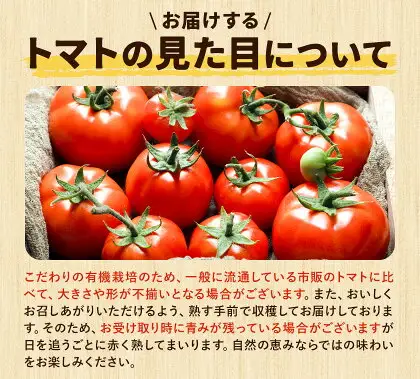 有機JASとっぺんトマト 約4kg 旬 お取り寄せ 詰め合わせ 贈答 ギフト お中元 お歳暮 熊本 阿蘇 産山村 送料無料 トマト 無農薬 有機《7月上旬-8月下旬頃出荷》