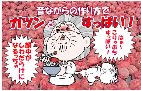 紅筍梅 タケノコの梅干し漬け 紅白梅干しセット 800g