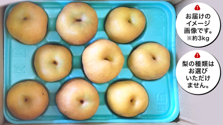 農園直送！おまかせ 梨 3kg 【7月下旬発送開始】 