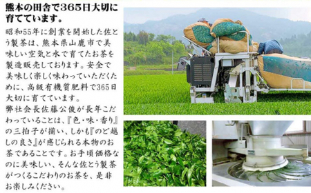 深蒸し茶 特選 ・ 特上茶 詰合せ 100g×8本セット 【有限会社 佐とう製茶】[ZAS003]