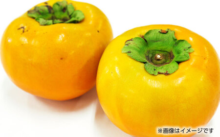 【先行予約】太秋 柿 約2kg【くまふる】[ZBG015]