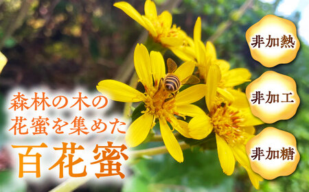 日本みつばち菊鹿約405g【山麓はっち】[ZBM010]