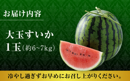 熊本スイカ先行予約 大玉すいかLサイズ西瓜スイカZCM001